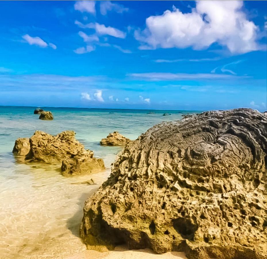 Palm Villa Ishigakijima Yugafu Ishigaki  المظهر الخارجي الصورة